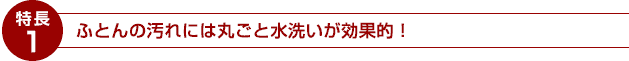 ふとんまる洗い宅配サービスタイトル１